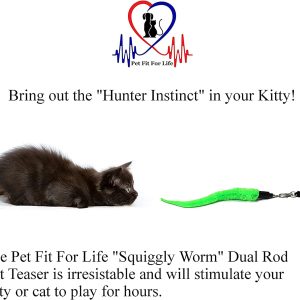 Pet Fit For Life 5 pcs Worms Teaser and Exerciser pour Chat et Chaton Jouet Interactif Chat Wand