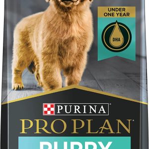 Purina Pro Plan Dry Dog Food, Focus, Puppy Chicken & Rice Formula, 6-Pound Bag by Purina Pro Plan