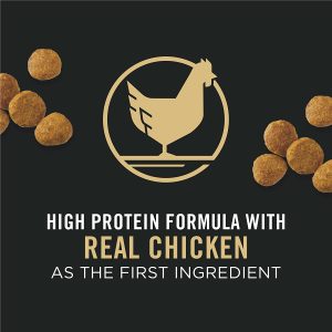 Purina Pro Plan Dry Dog Food, Focus, Puppy Chicken & Rice Formula, 6-Pound Bag by Purina Pro Plan