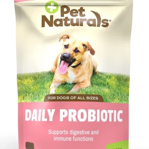 Pet Naturals® of Vermont Lot de 160 probiotiques Quotidiens pour Chiens Complément digestif