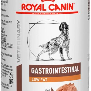 Nourriture pour chien Gastro-Intestinal de Royal Canin, à faible teneur en matière grasse, 12 x 410 g