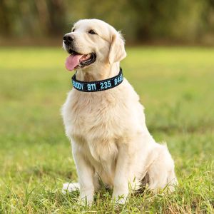 Graceful life Collier d’identification personnalisable pour chien en nylon – Réglable dans 4 tailles : XS, S, M, L…