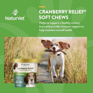 NaturVet – Canneberge + Echinacea échinacée Infection urinaire Chien 60 Bonbons