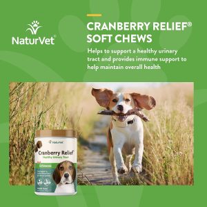 NaturVet Cranberry Relief 120 Count Soft Chew (Jar) with Echinacea for Dogs