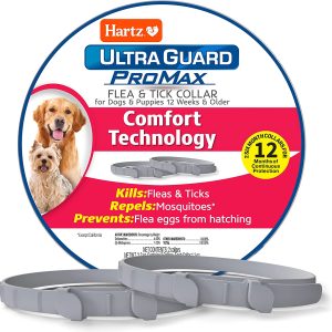 Hartz UltraGuard ProMax Flea & Tick Collar for Dogs I 12 Months Protection I Soft & Comfortable Flea & Tick Prevention I 2 Pack,Gray