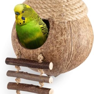 andwe Nichoir à oiseaux en noix de coco avec échelle pour perroquets, perruches, conures, calopsittes – Maison pour petits animaux domestiques